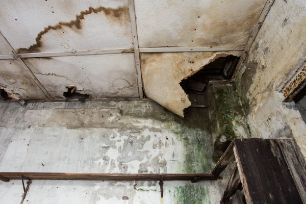 Water Damage Service in Plainfield