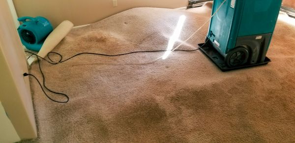 Carpet Water Extraction in Plainfield